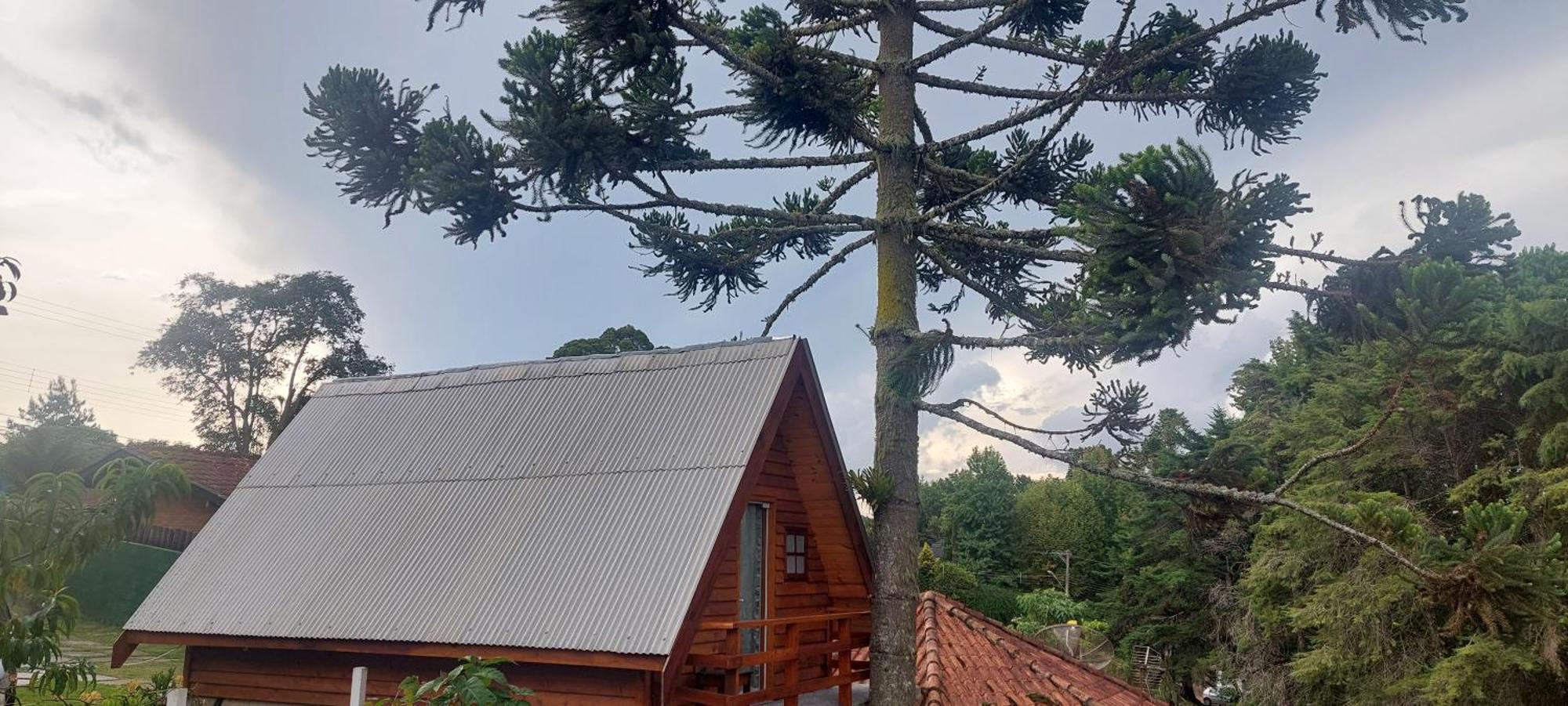 Chale Com Hidromassagem Da Vick Hotel Campos do Jordao Exterior photo